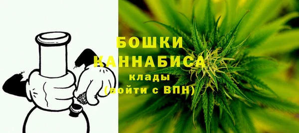 гидра Лагань