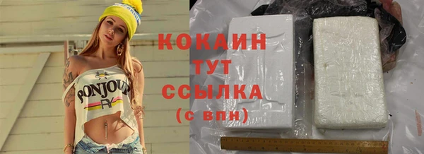 гидра Лагань
