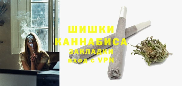 гидра Лагань