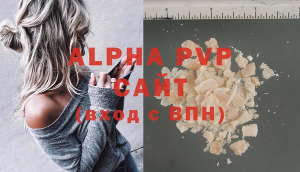 стаф Лабытнанги