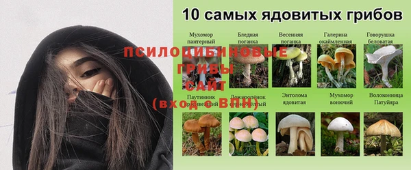 скорость Ладушкин