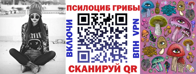 KRAKEN ссылка Торопец Псилоцибиновые грибы MAGIC MUSHROOMS сколько стоит